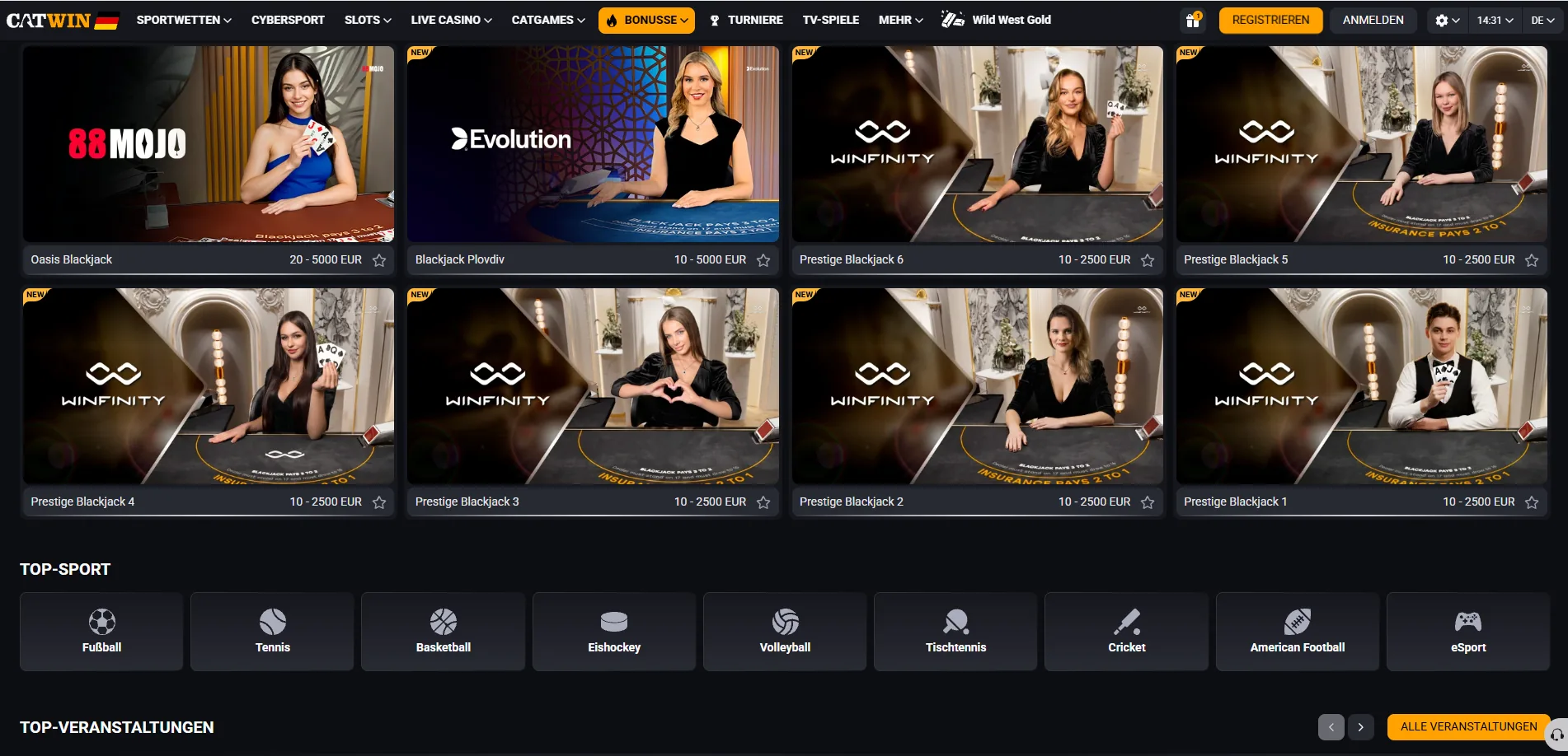 CatWin Casino Spiele
